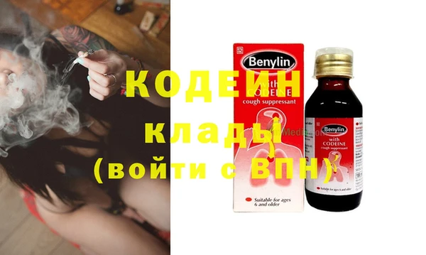 прущие грибы Алзамай