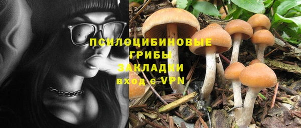 МДПВ Абаза