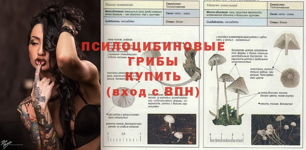 МДПВ Абаза
