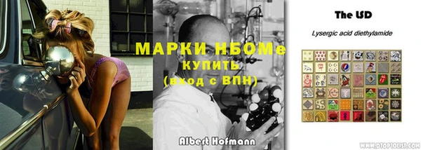 прущие грибы Алзамай