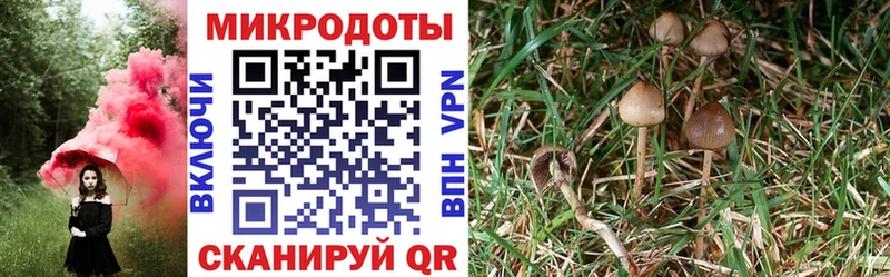 Псилоцибиновые грибы мухоморы МЕГА онион Гурьевск