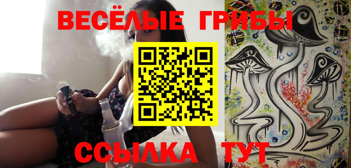 Гурьевск  Псилоцибиновые грибы Psilocybe  Галлюциногенные грибы ЛСД  Вход с VPN 