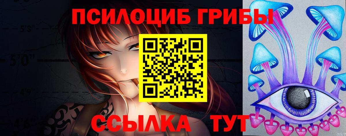 Галлюциногенные грибы Psilocybe Гурьевск